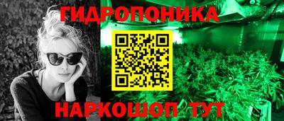 мет Бийск