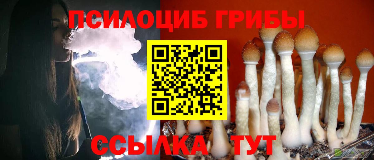 Галлюциногенные грибы Psilocybe Каменка
