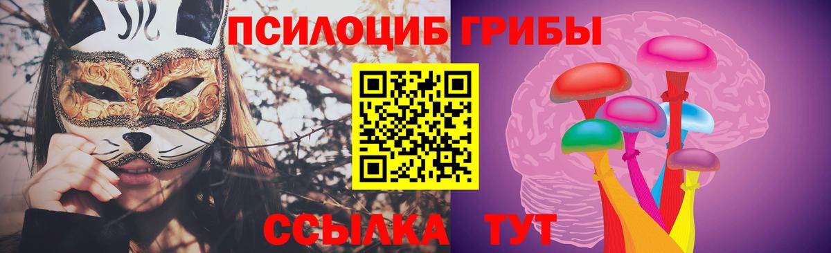Каменка  Псилоцибиновые грибы Cubensis  Псилоцибиновые грибы Psilocybine cubensis  Вход с VPN 